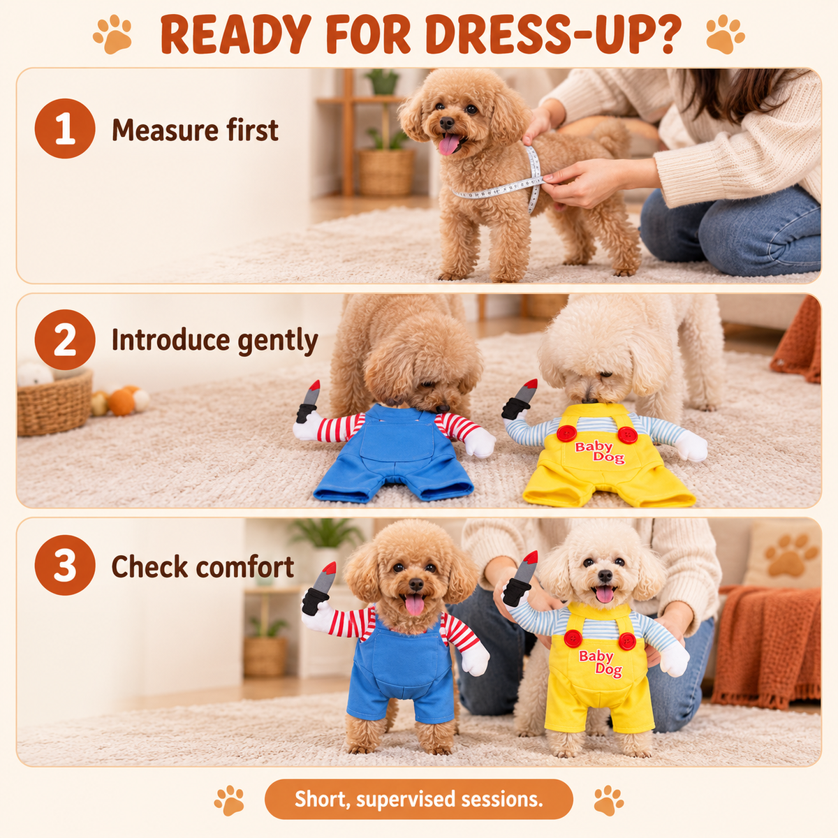 🎃 Halloween Dog Costumes — A Little Outfit, a Lot of Laughs