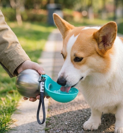 Premium Portable Round Pet Water Bottle
