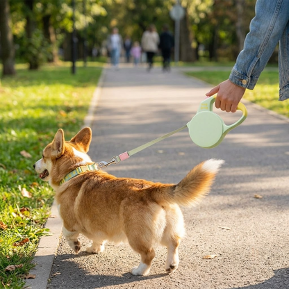 Premium Retractable Dog Leash