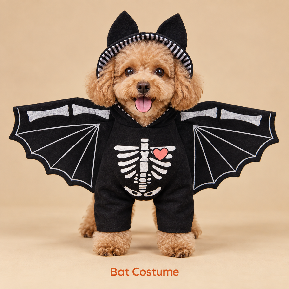 🎃 Halloween Dog Costumes — A Little Outfit, a Lot of Laughs